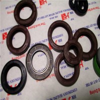 Tc Oil Seal FKM Material 65*85*12